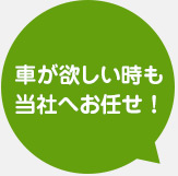 車が欲しい時も当社へお任せ！